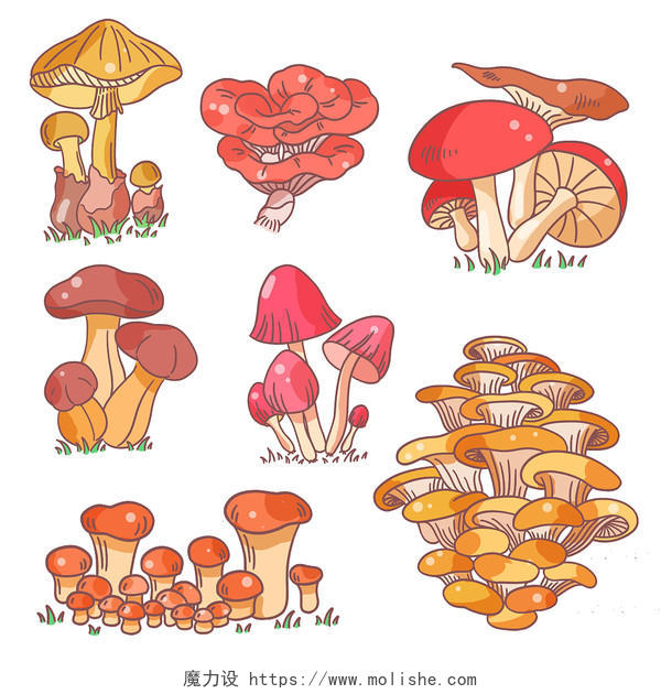 卡通风蘑菇食物植物插画组合元素png
